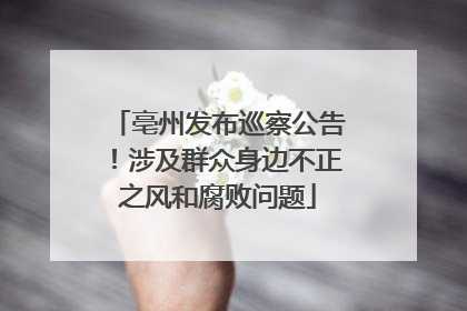 亳州发布巡察公告！涉及群众身边不正之风和腐败问题